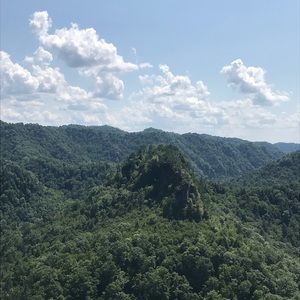 Meet your Posher, Maya